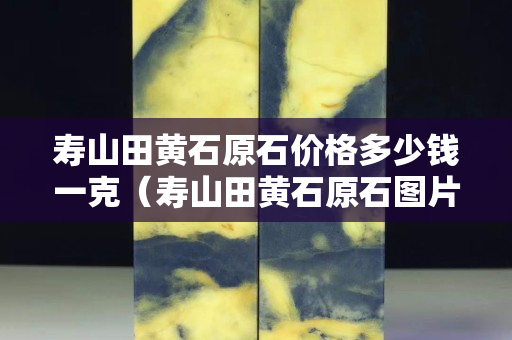 壽山田黃石原石價格多少錢一克（壽山田黃石原石圖片剛出土的田黃）