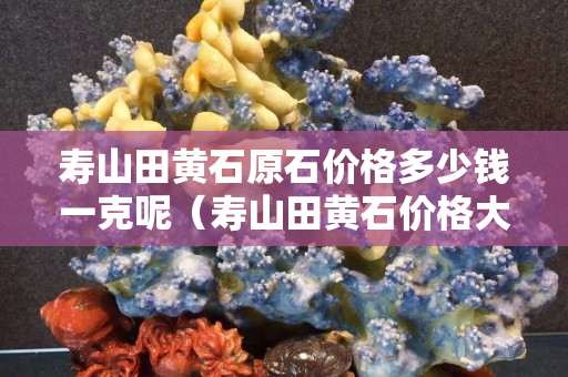 壽山田黃石原石價格多少錢一克呢（壽山田黃石價格大幅下跌）