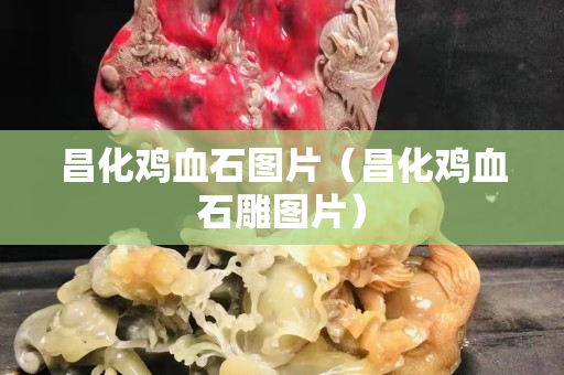 昌化雞血石圖片（昌化雞血石雕圖片）