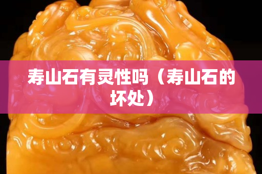 壽山石有靈性嗎（壽山石的壞處）