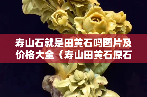 壽山石就是田黃石嗎圖片及價格大全（壽山田黃石原石圖片）