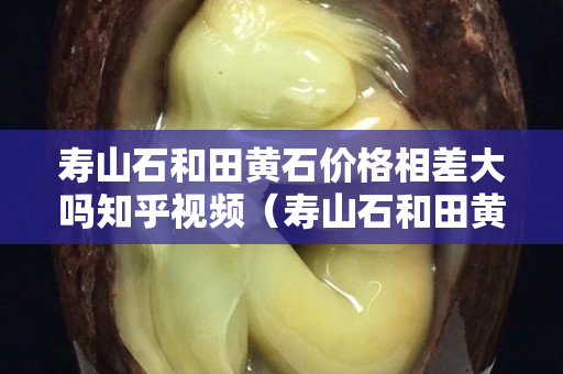 壽山石和田黃石價(jià)格相差大嗎知乎視頻（壽山石和田黃石一樣嗎）