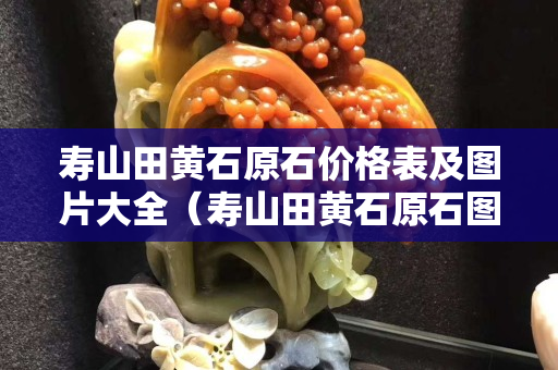 壽山田黃石原石價格表及圖片大全（壽山田黃石原石圖片剛出土的田黃）