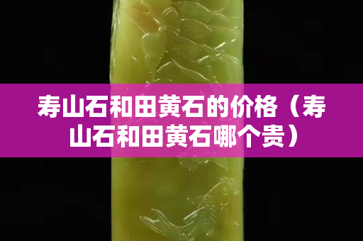 壽山石和田黃石的價格（壽山石和田黃石哪個貴）