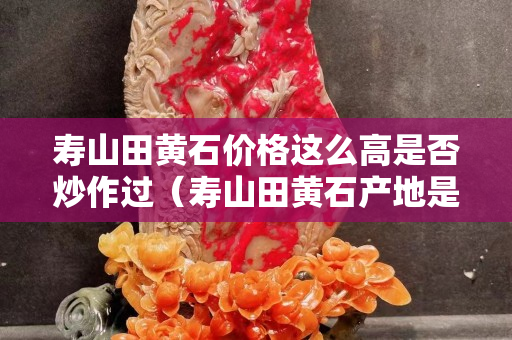 壽山田黃石價格這么高是否炒作過（壽山田黃石產地是哪里）