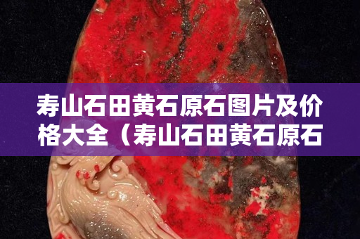 壽山石田黃石原石圖片及價(jià)格大全（壽山石田黃石原石圖片及價(jià)格大全集）