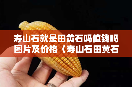 壽山石就是田黃石嗎值錢嗎圖片及價格（壽山石田黃石原石圖片）
