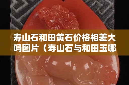 壽山石和田黃石價格相差大嗎圖片（壽山石與和田玉哪個更有收藏價值）