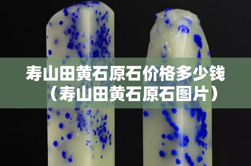壽山田黃石原石價格多少錢（壽山田黃石原石圖片）