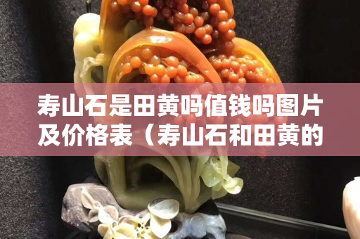 壽山石是田黃嗎值錢嗎圖片及價格表（壽山石和田黃的區別是什么）