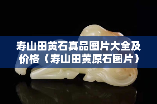 壽山田黃石真品圖片大全及價(jià)格（壽山田黃原石圖片）