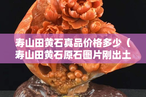 壽山田黃石真品價(jià)格多少（壽山田黃石原石圖片剛出土的田黃）