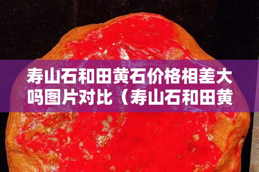 壽山石和田黃石價(jià)格相差大嗎圖片對比（壽山石和田黃石硬度分別是多少）