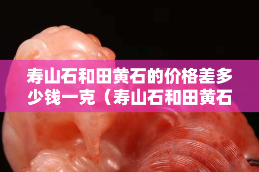 壽山石和田黃石的價格差多少錢一克（壽山石和田黃石的價格差多少錢一克呢）
