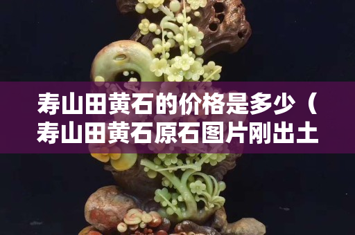 壽山田黃石的價格是多少（壽山田黃石原石圖片剛出土的田黃）