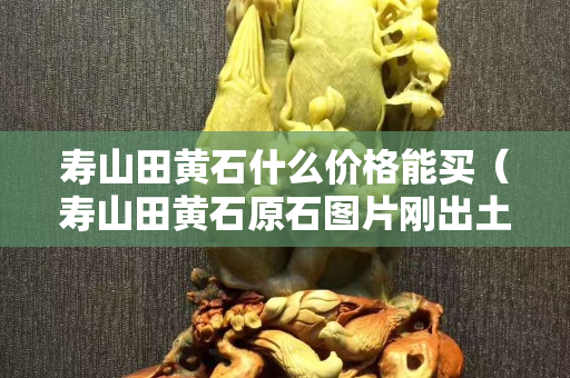 壽山田黃石什么價格能買（壽山田黃石原石圖片剛出土的田黃）