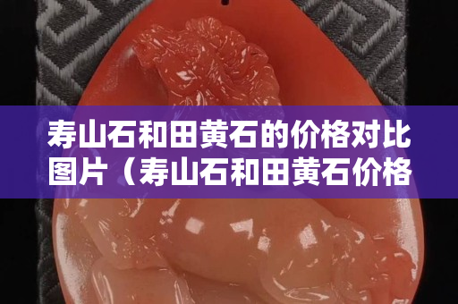 壽山石和田黃石的價格對比圖片（壽山石和田黃石價格相差大嗎）
