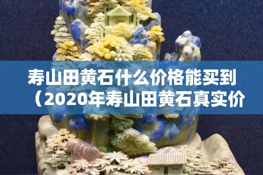 壽山田黃石什么價格能買到（2020年壽山田黃石真實價格）