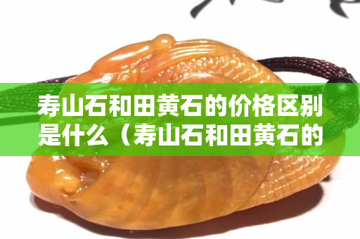 壽山石和田黃石的價格區別是什么（壽山石和田黃石的價格區別是什么呢）