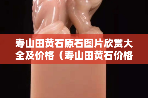 壽山田黃石原石圖片欣賞大全及價格（壽山田黃石價格多少錢一克2020）