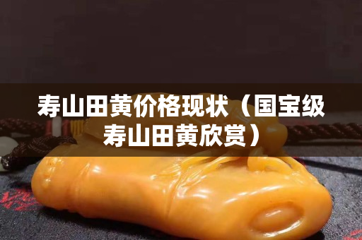 壽山田黃價格現狀（國寶級壽山田黃欣賞）