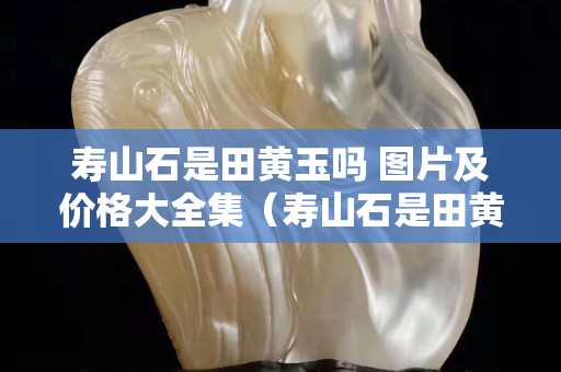 壽山石是田黃玉嗎 圖片及價格大全集（壽山石是田黃玉嗎 圖片及價格大全集欣賞）