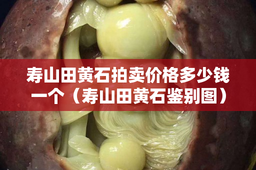 壽山田黃石拍賣價格多少錢一個（壽山田黃石鑒別圖）