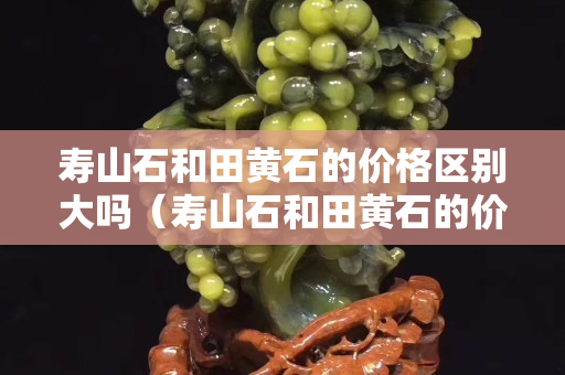 壽山石和田黃石的價(jià)格區(qū)別大嗎（壽山石和田黃石的價(jià)格區(qū)別大嗎圖片）