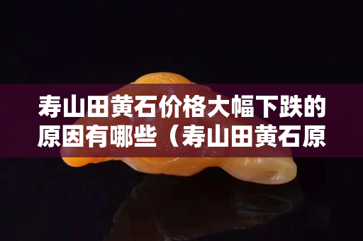 壽山田黃石價(jià)格大幅下跌的原因有哪些（壽山田黃石原石形狀）