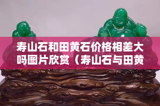 壽山石和田黃石價格相差大嗎圖片欣賞（壽山石與田黃石區(qū)別要點及圖片）