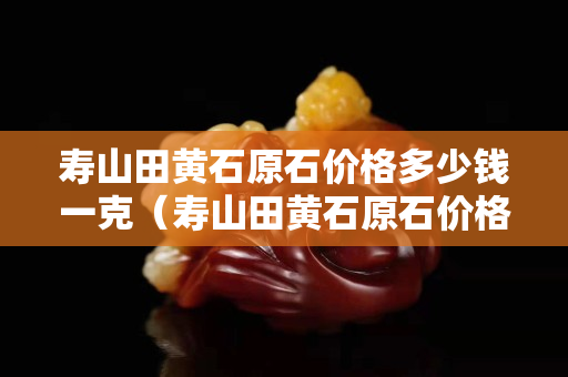 壽山田黃石原石價格多少錢一克（壽山田黃石原石價格多少錢一克呢）