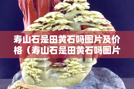 壽山石是田黃石嗎圖片及價格（壽山石是田黃石嗎圖片及價格大全）