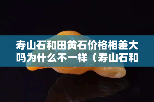 壽山石和田黃石價格相差大嗎為什么不一樣（壽山石和田黃石價格相差大嗎為什么不一樣呢）
