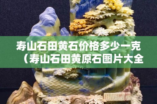 壽山石田黃石價格多少一克（壽山石田黃原石圖片大全）