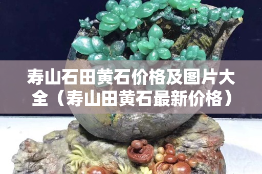 壽山石田黃石價(jià)格及圖片大全（壽山田黃石最新價(jià)格）