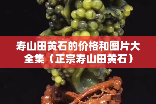 壽山田黃石的價格和圖片大全集（正宗壽山田黃石）