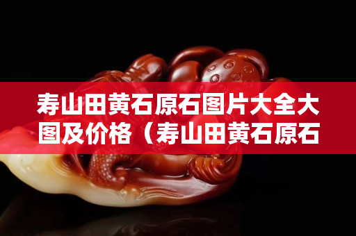 壽山田黃石原石圖片大全大圖及價格（壽山田黃石原石圖片剛出土的田黃）