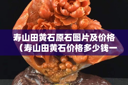 壽山田黃石原石圖片及價格（壽山田黃石價格多少錢一克2020）
