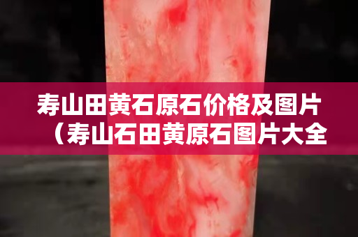 壽山田黃石原石價格及圖片（壽山石田黃原石圖片大全）