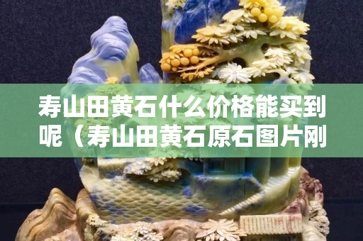 壽山田黃石什么價格能買到呢（壽山田黃石原石圖片剛出土的田黃）