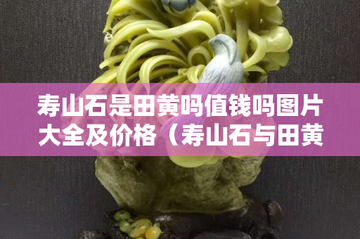 壽山石是田黃嗎值錢嗎圖片大全及價格（壽山石與田黃石區別要點及圖片）
