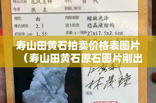 壽山田黃石拍賣價格表圖片（壽山田黃石原石圖片剛出土的田黃）