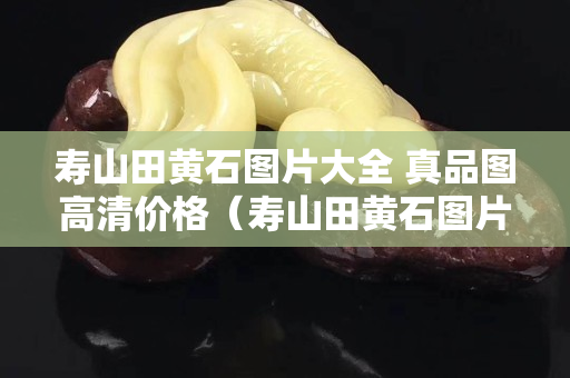 壽山田黃石圖片大全 真品圖高清價格（壽山田黃石圖片大全 真品圖高清價格表）