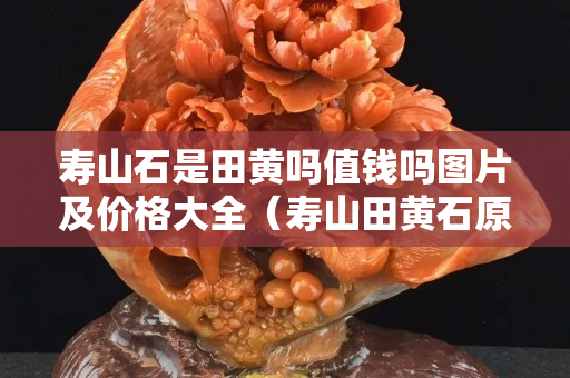 壽山石是田黃嗎值錢嗎圖片及價格大全（壽山田黃石原石圖片）