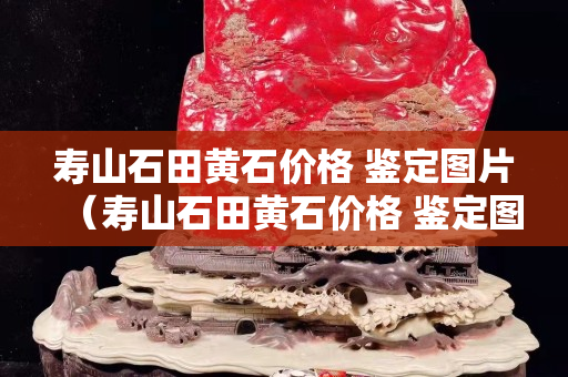壽山石田黃石價(jià)格 鑒定圖片（壽山石田黃石價(jià)格 鑒定圖片大全）