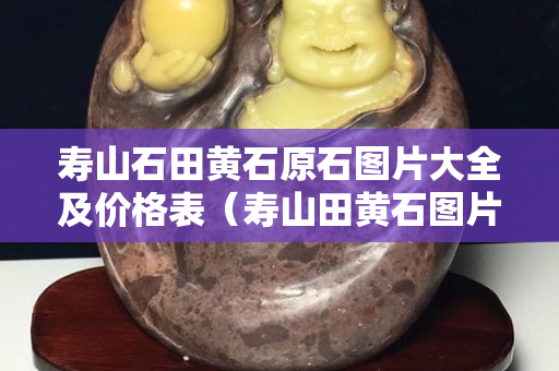 壽山石田黃石原石圖片大全及價格表（壽山田黃石圖片大全 真品）