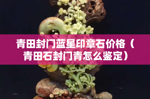 青田封門藍星印章石價格（青田石封門青怎么鑒定）