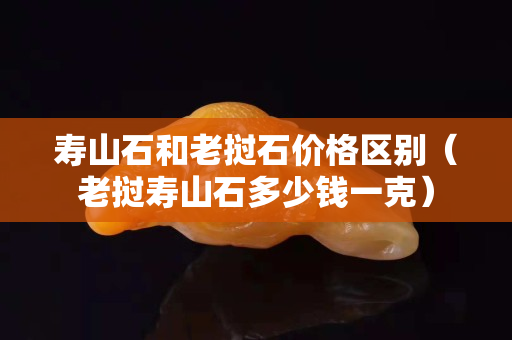 壽山石和老撾石價格區別（老撾壽山石多少錢一克）