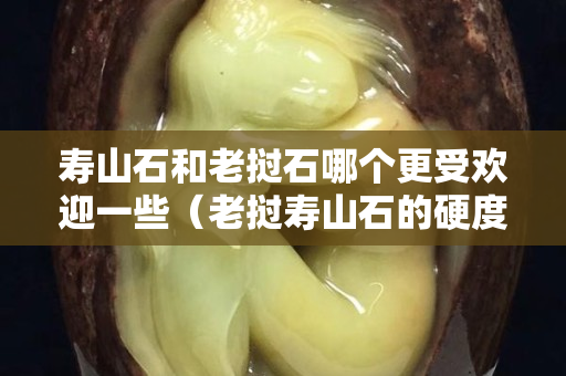 壽山石和老撾石哪個更受歡迎一些（老撾壽山石的硬度）