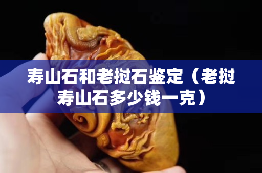 壽山石和老撾石鑒定（老撾壽山石多少錢一克）